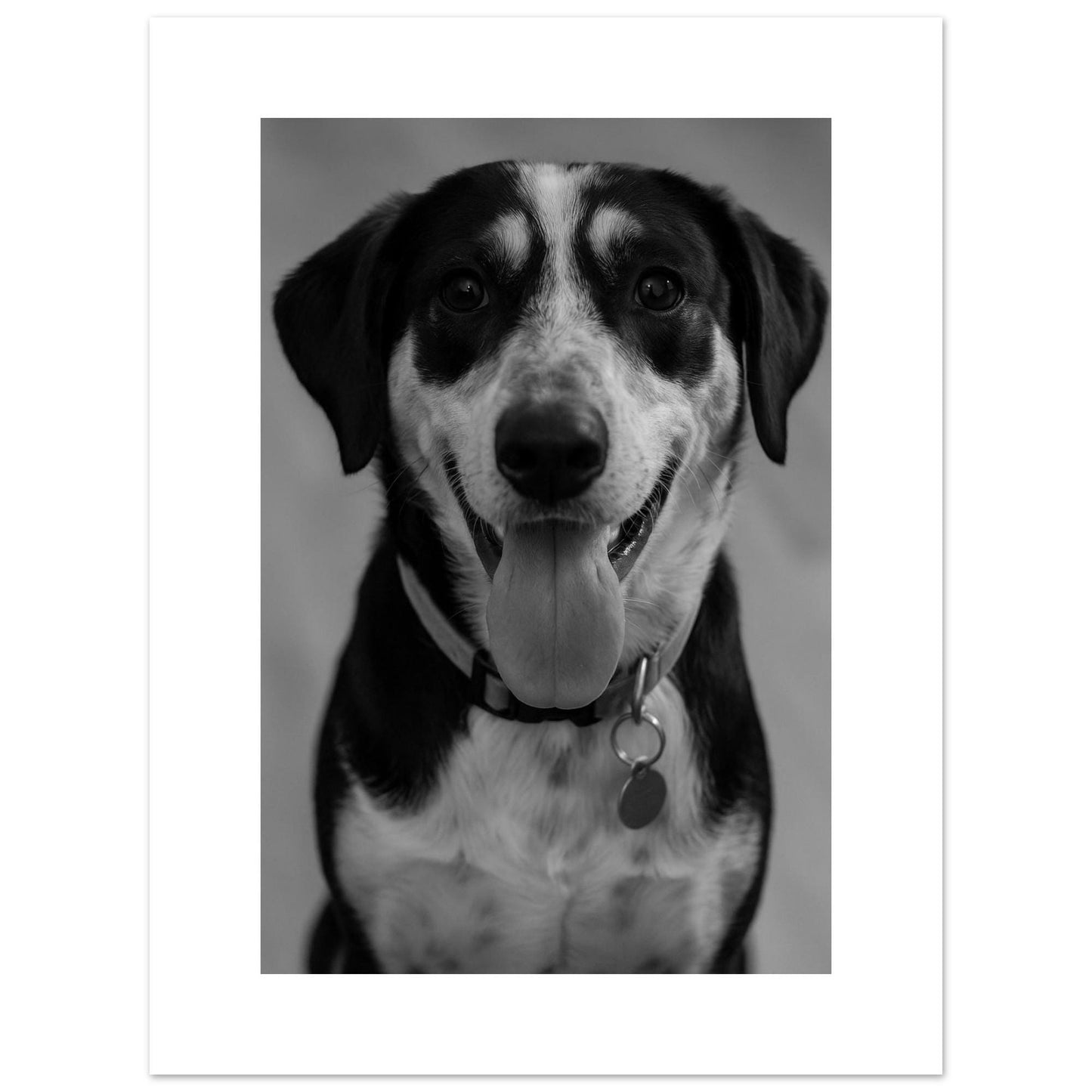 Personalized Fine Art Poster | Loki's Shop Too