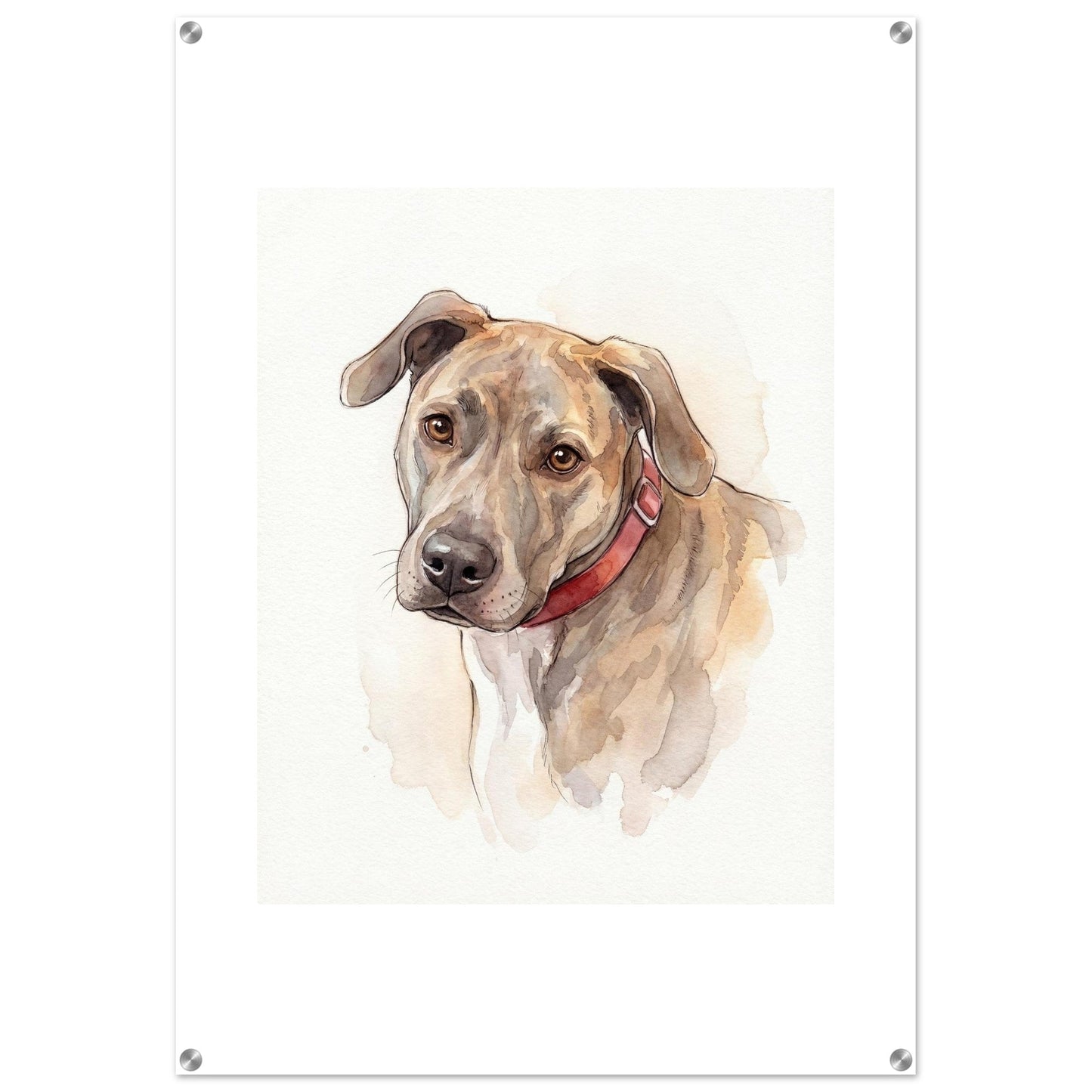 Watercolor Pet Lover Acrylic Print | Vibrant Animal Art | Custom Home Decor Gift | Loki's Shop Too