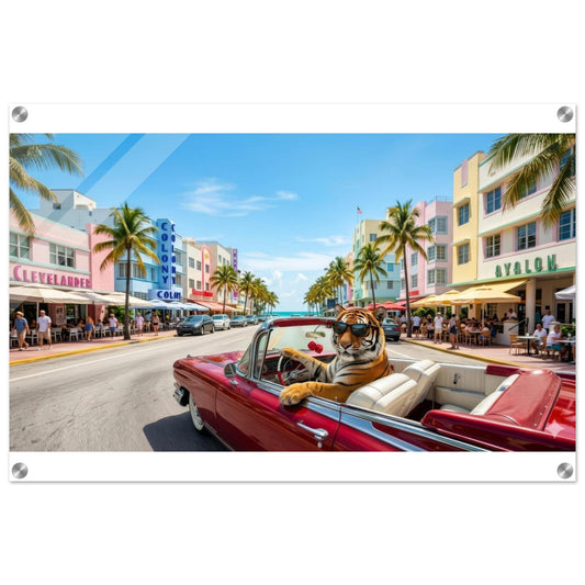 Miami Strip Cruisin' Tiger Acrylic Print | Fun Animal Wall Art | Luxury Home Decor | Unique Gift | Loki's Shop Too