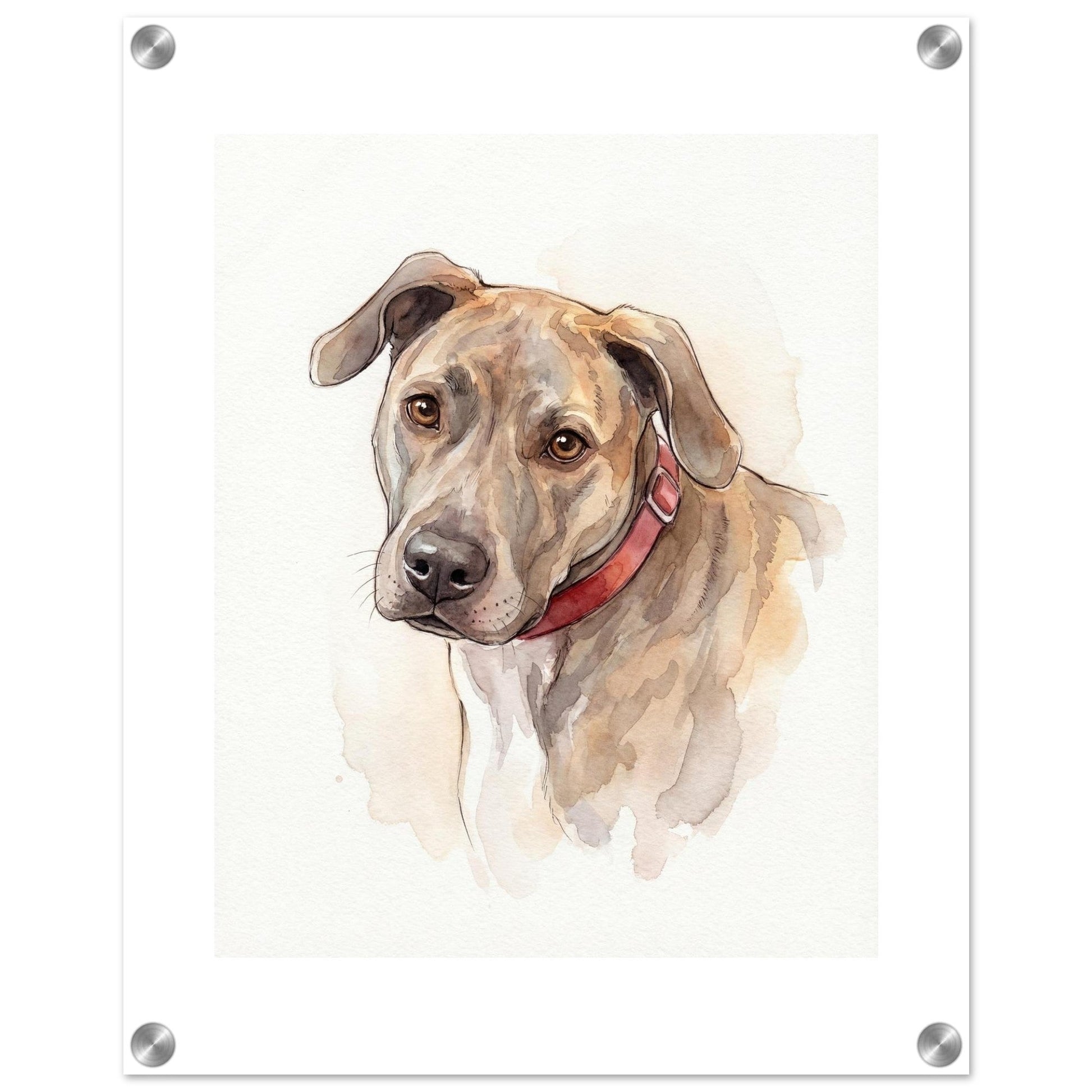 Watercolor Pet Lover Acrylic Print | Vibrant Animal Art | Custom Home Decor Gift | Loki's Shop Too