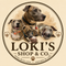 Loki's Shop & Co.
