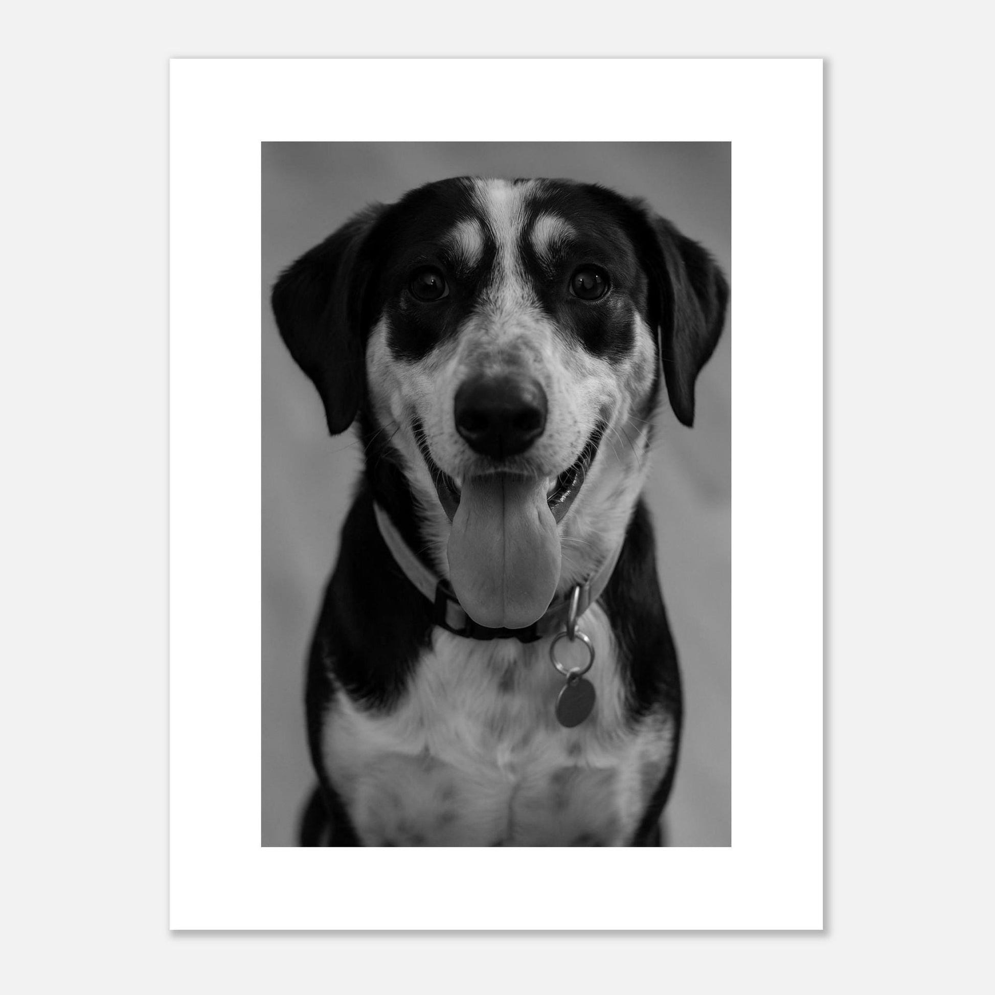 Personalized Fine Art Poster | Loki's Shop Too