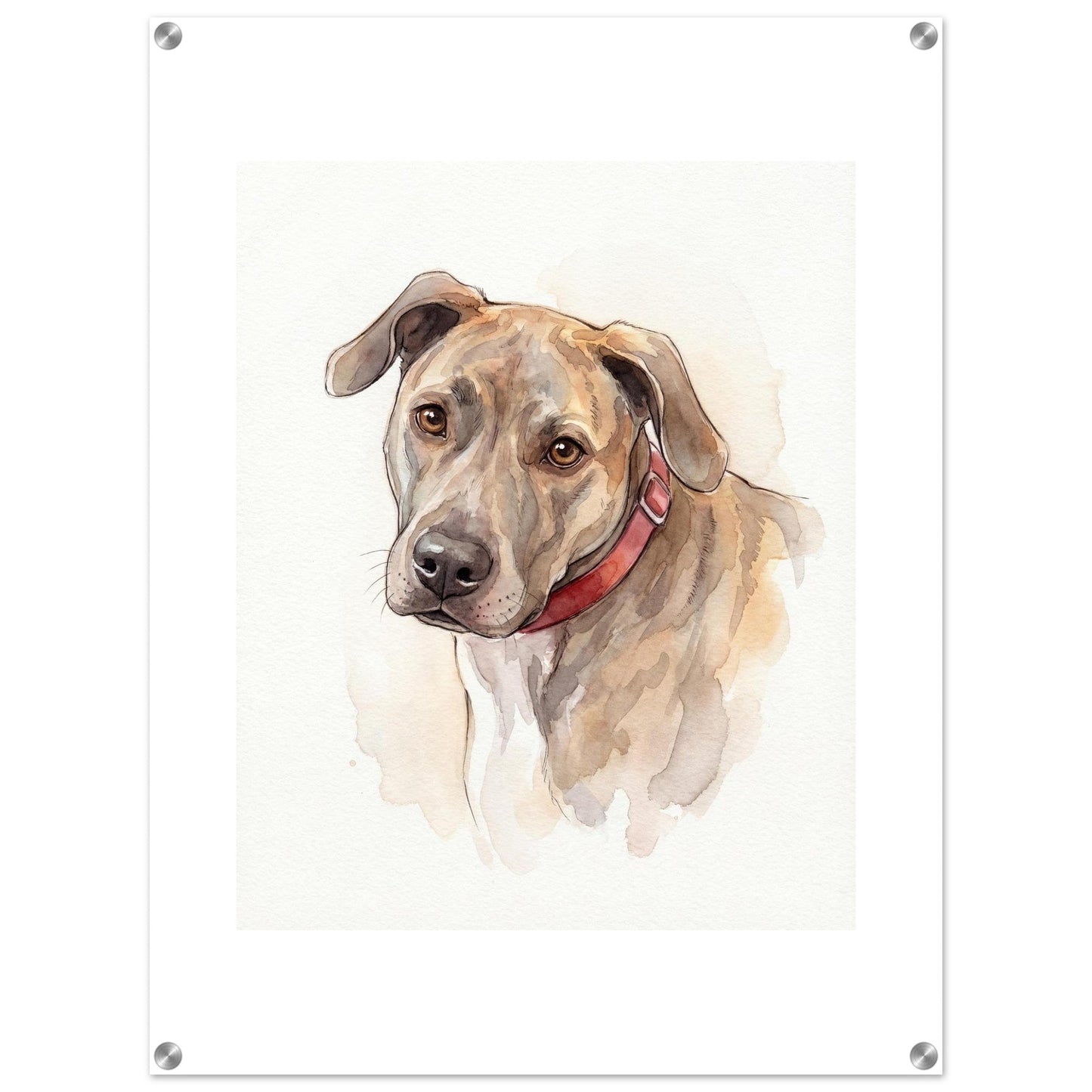 Watercolor Pet Lover Acrylic Print | Vibrant Animal Art | Custom Home Decor Gift | Loki's Shop Too
