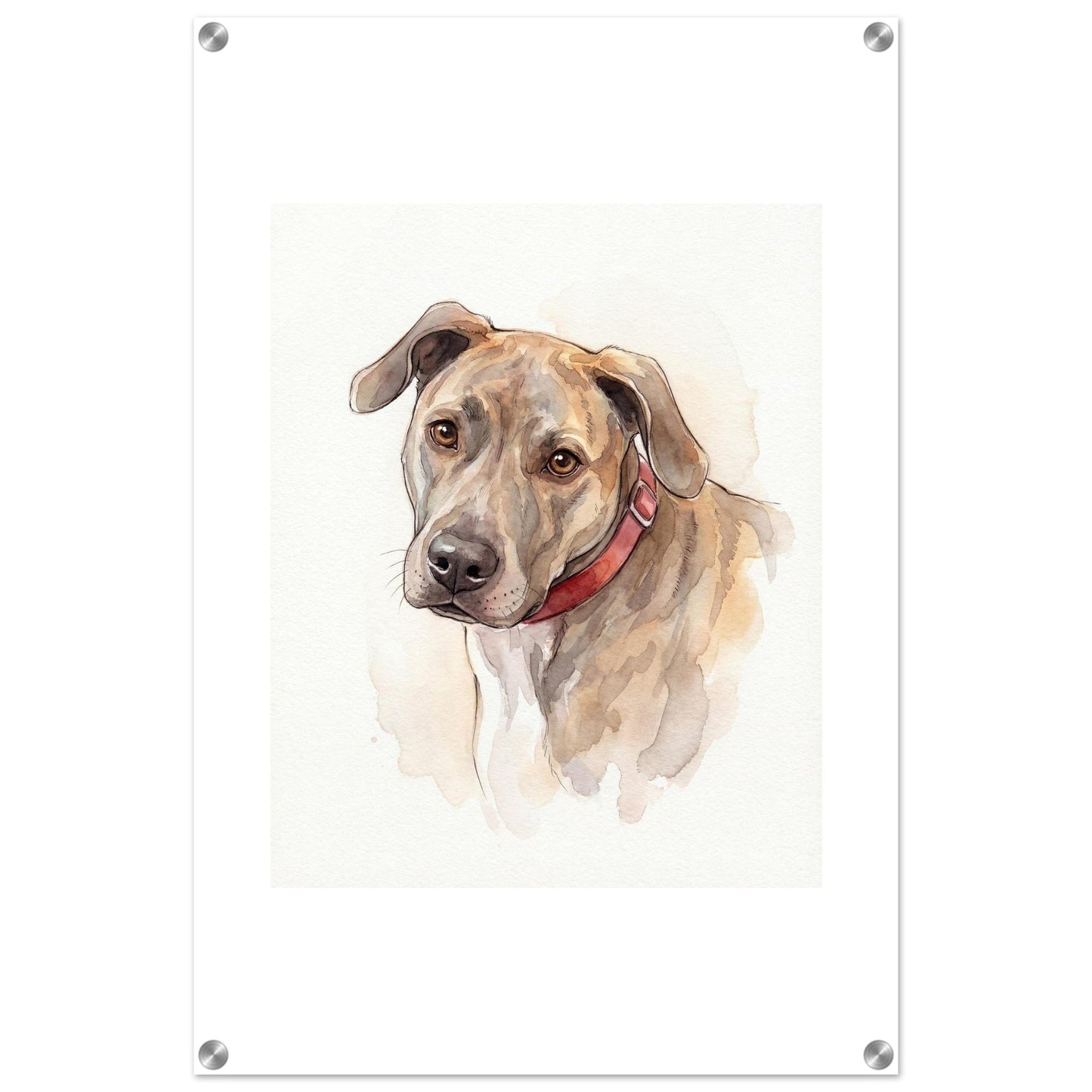 Watercolor Pet Lover Acrylic Print | Vibrant Animal Art | Custom Home Decor Gift | Loki's Shop Too