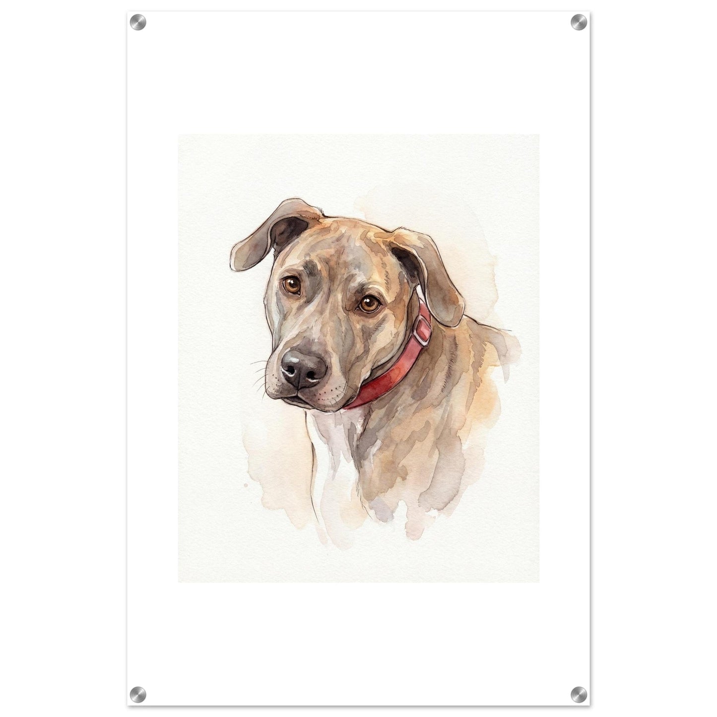 Watercolor Pet Lover Acrylic Print | Vibrant Animal Art | Custom Home Decor Gift | Loki's Shop Too