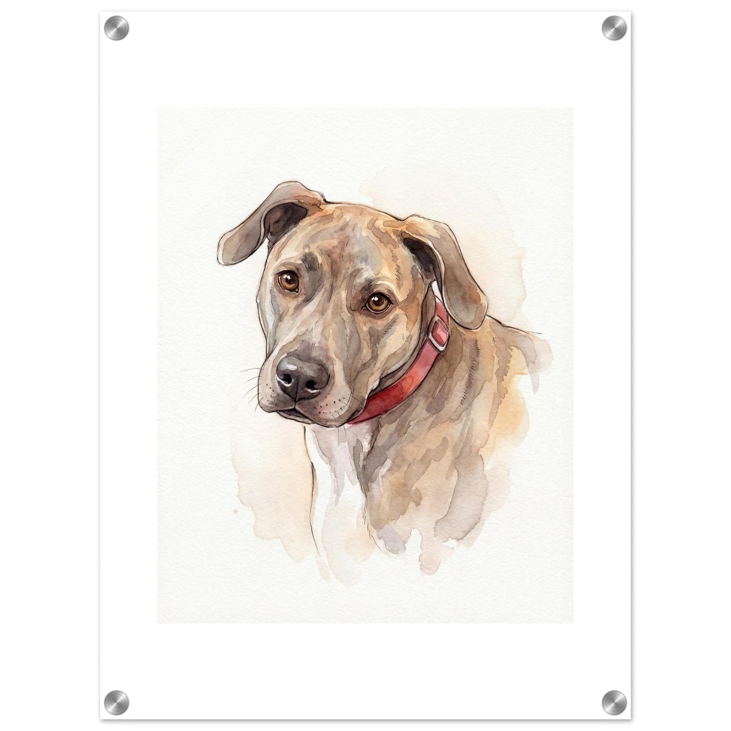Watercolor Pet Lover Acrylic Print | Vibrant Animal Art | Custom Home Decor Gift | Loki's Shop Too