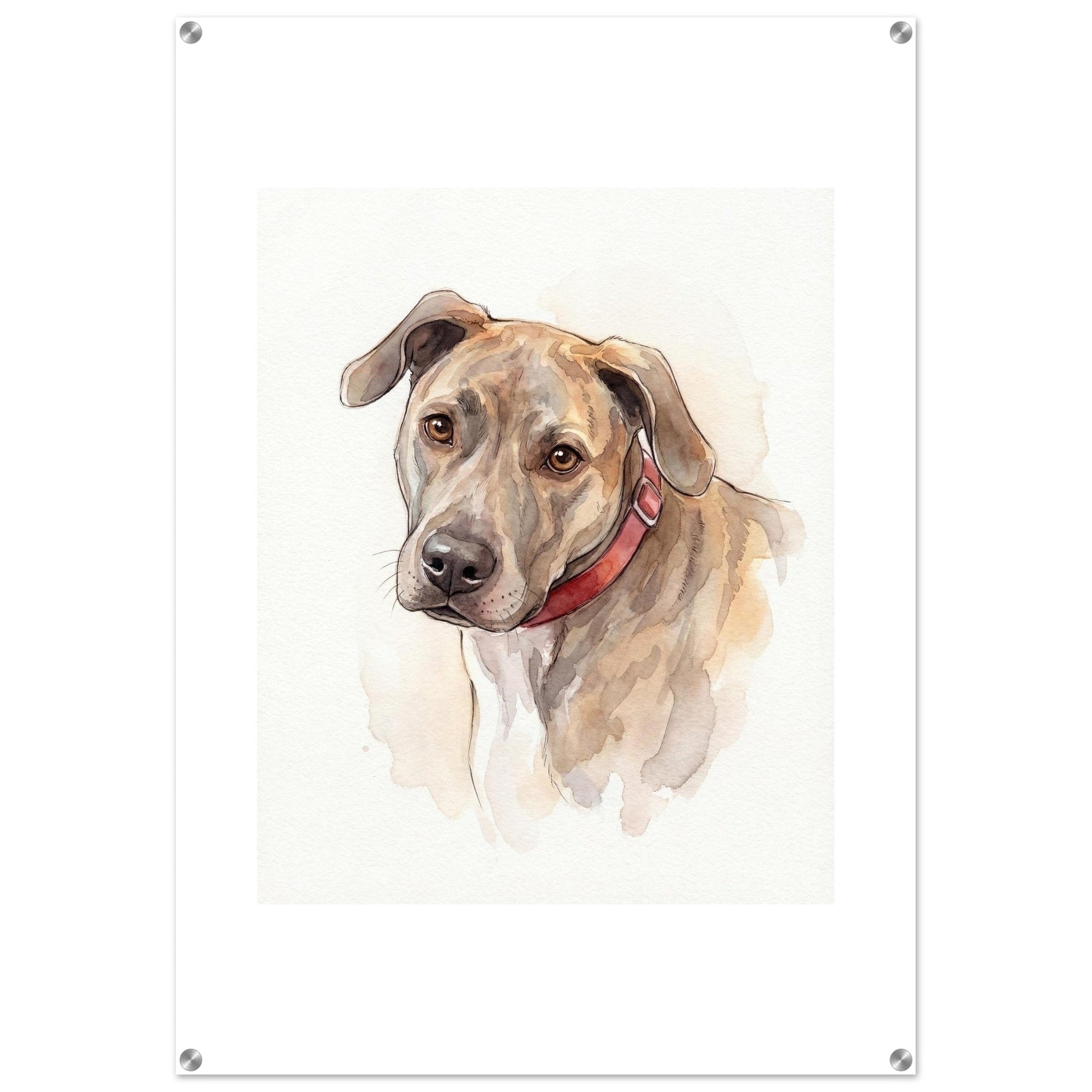Watercolor Pet Lover Acrylic Print | Vibrant Animal Art | Custom Home Decor Gift | Loki's Shop Too